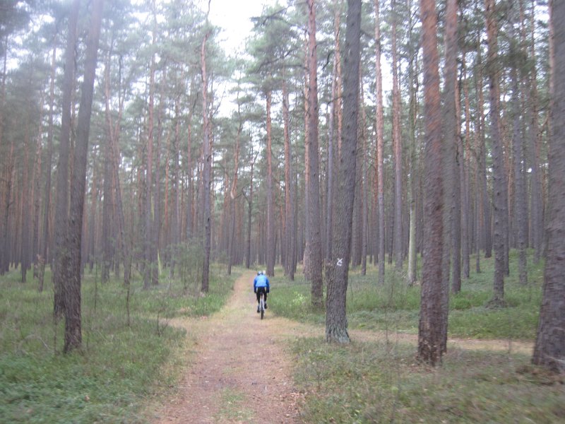 CTF Celle 100